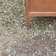Vintage chest of drawers in walnut compass legs 4 drawers from the 1950s