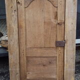 XIX old door with its frame