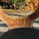 6 BAUMANN seagull chairs dark beech black skai