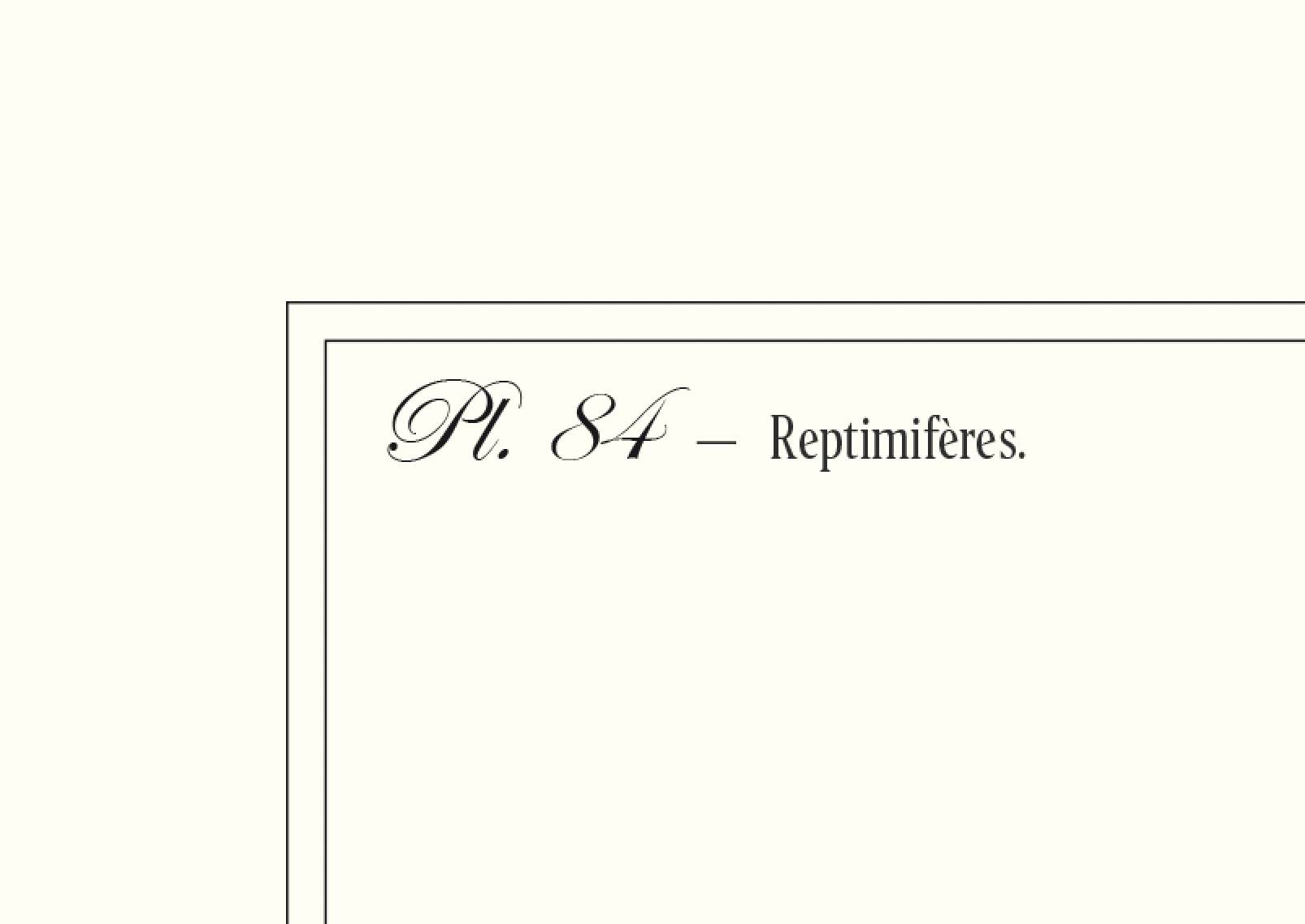 Lithograph engraving chimera animal - the zebrodile