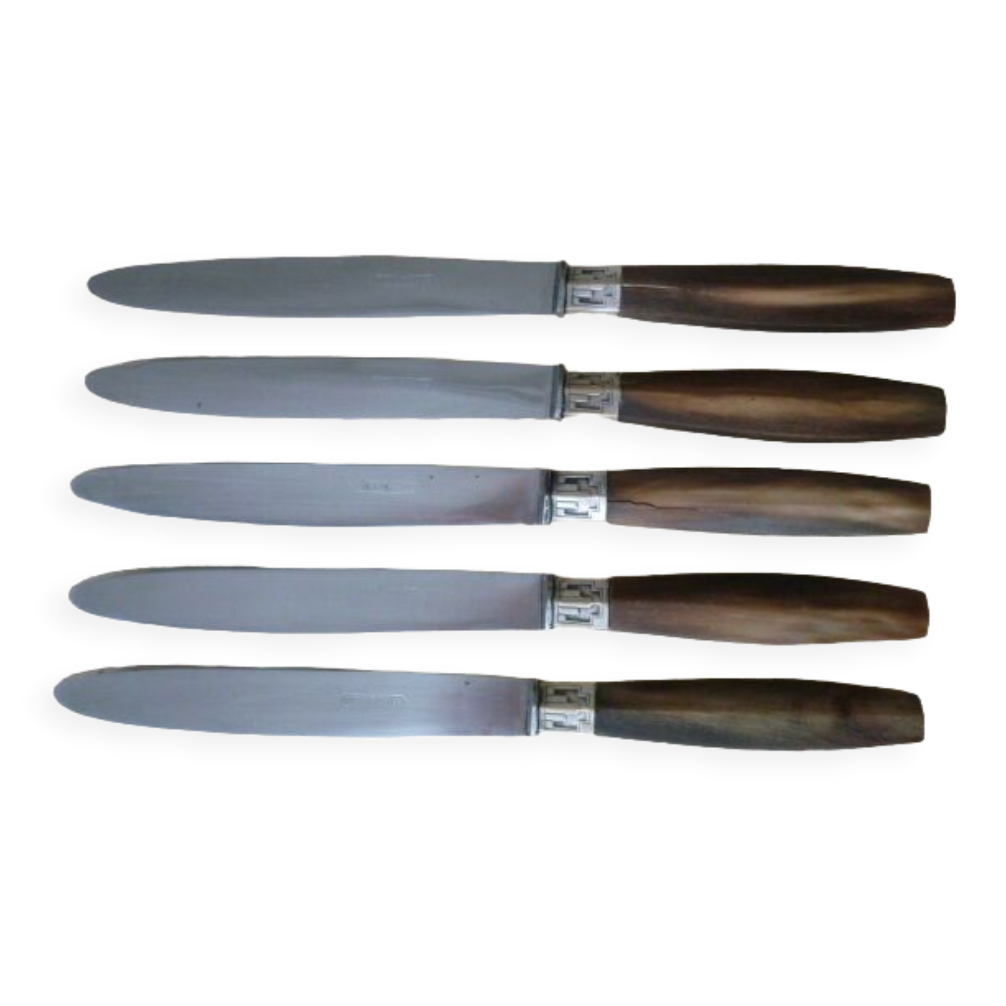Set of 5 table knives stainless steel and bovine horn