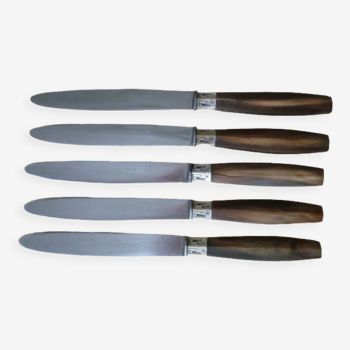 Set de 5 couteaux de table acier inoxydable et corne bovine