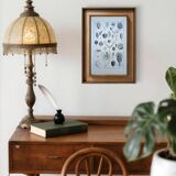 Printed in 1889, fruits and seeds. Antique botanical plate.