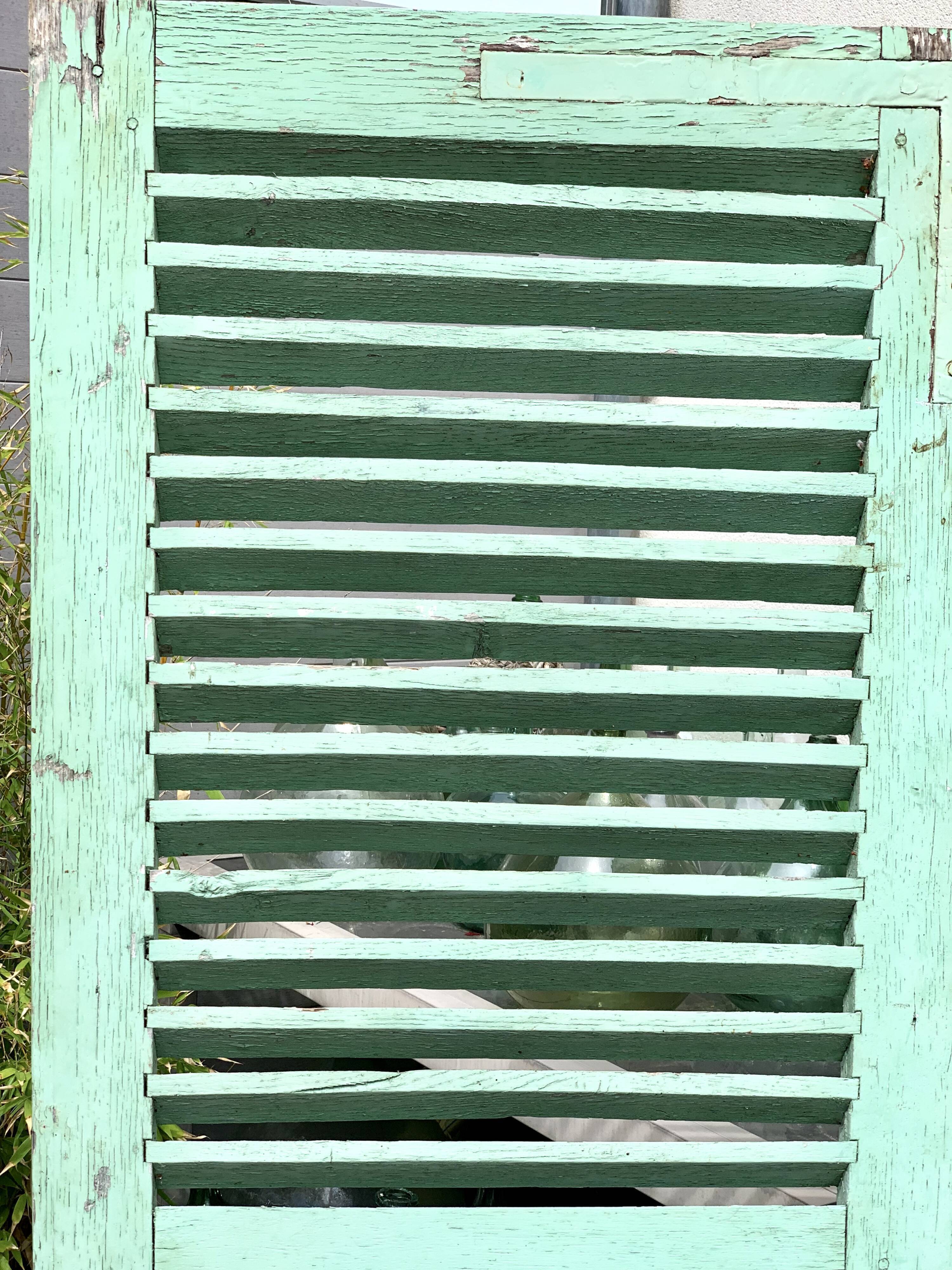 Old wood volet mint color