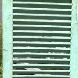 Old wood volet mint color