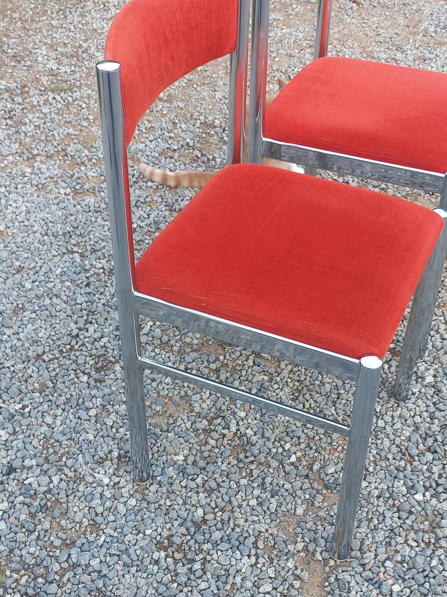 Pair of designer chairs in chrome metal and orange velvet from the 1970s.