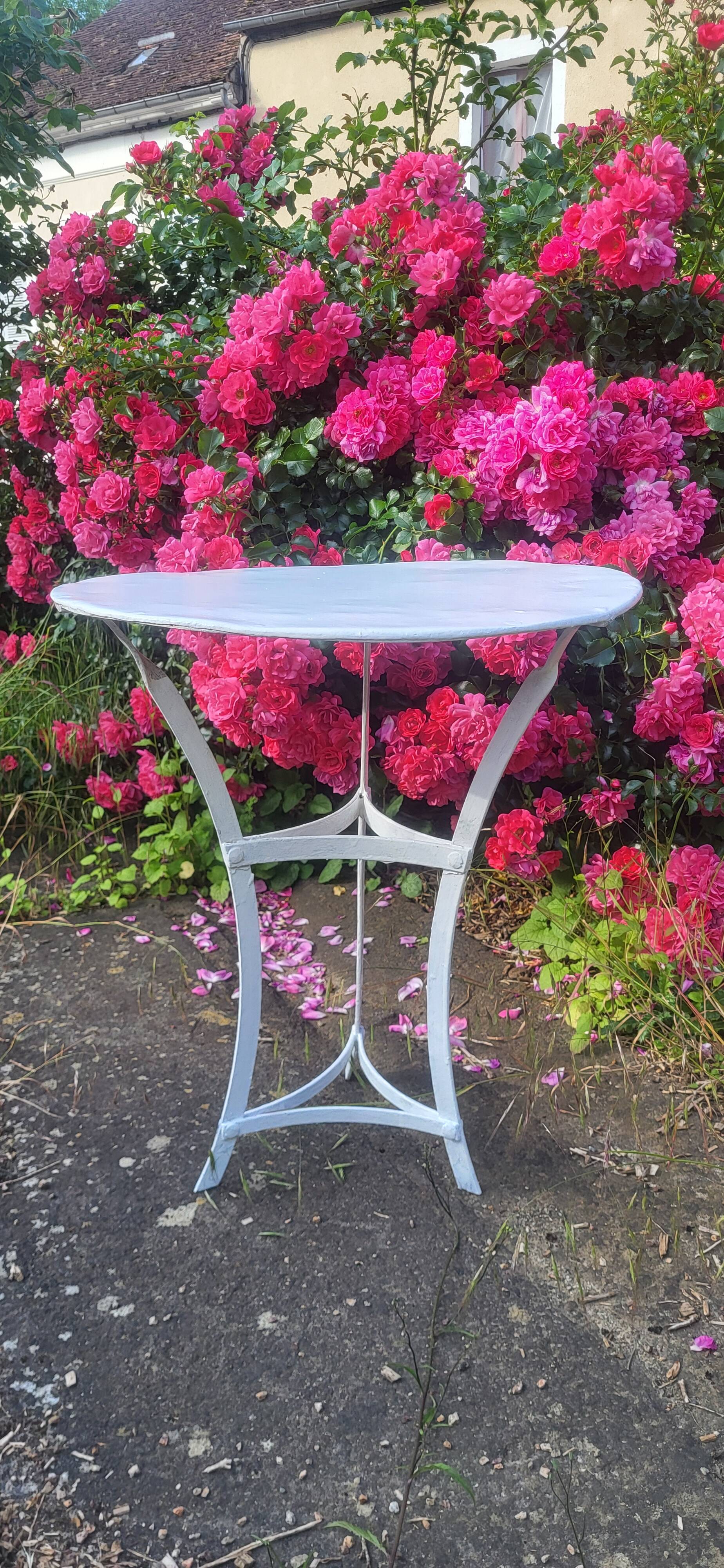 Iron garden coffee table / pedestal table
