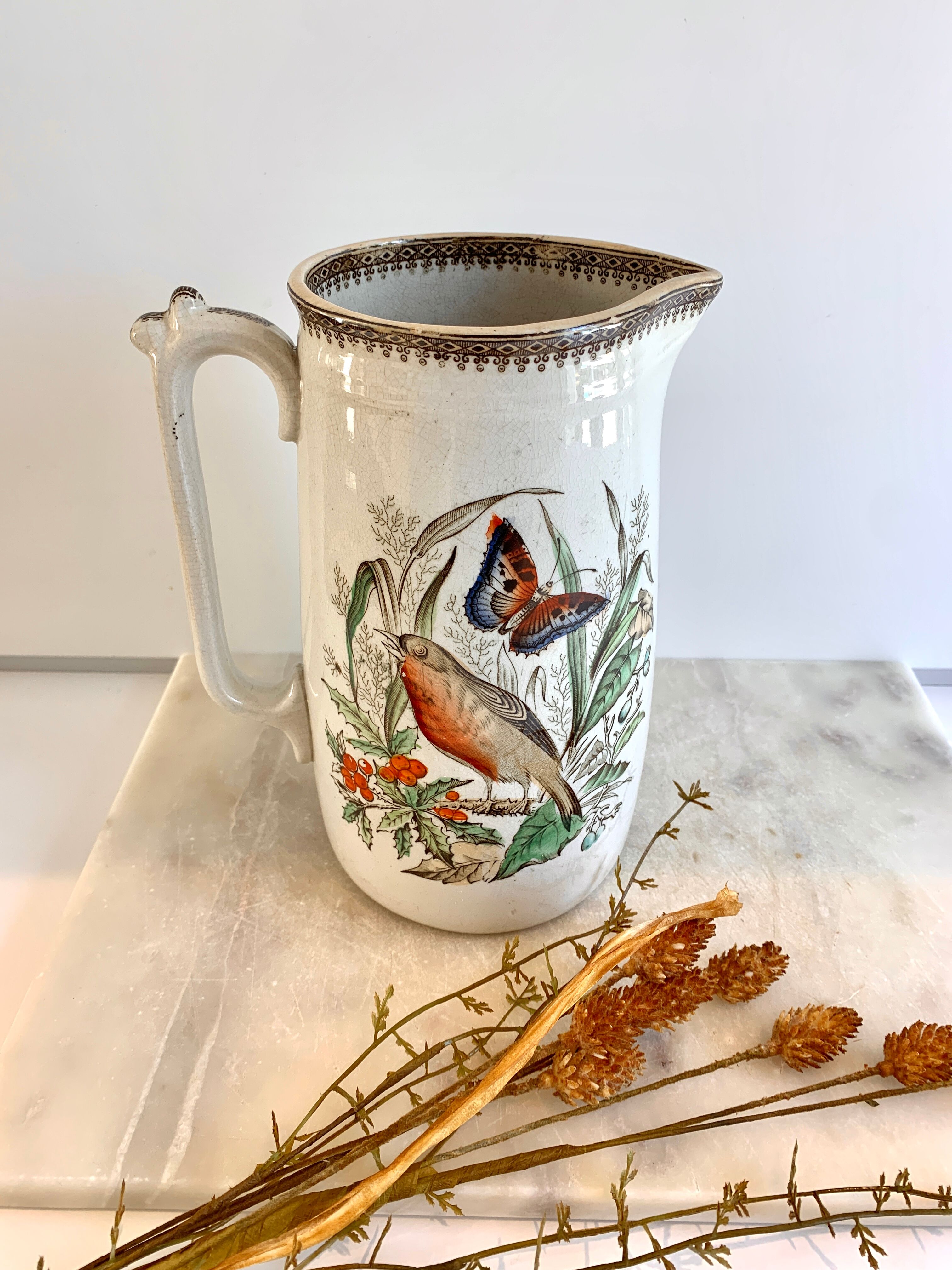 Pitcher red throat 50's