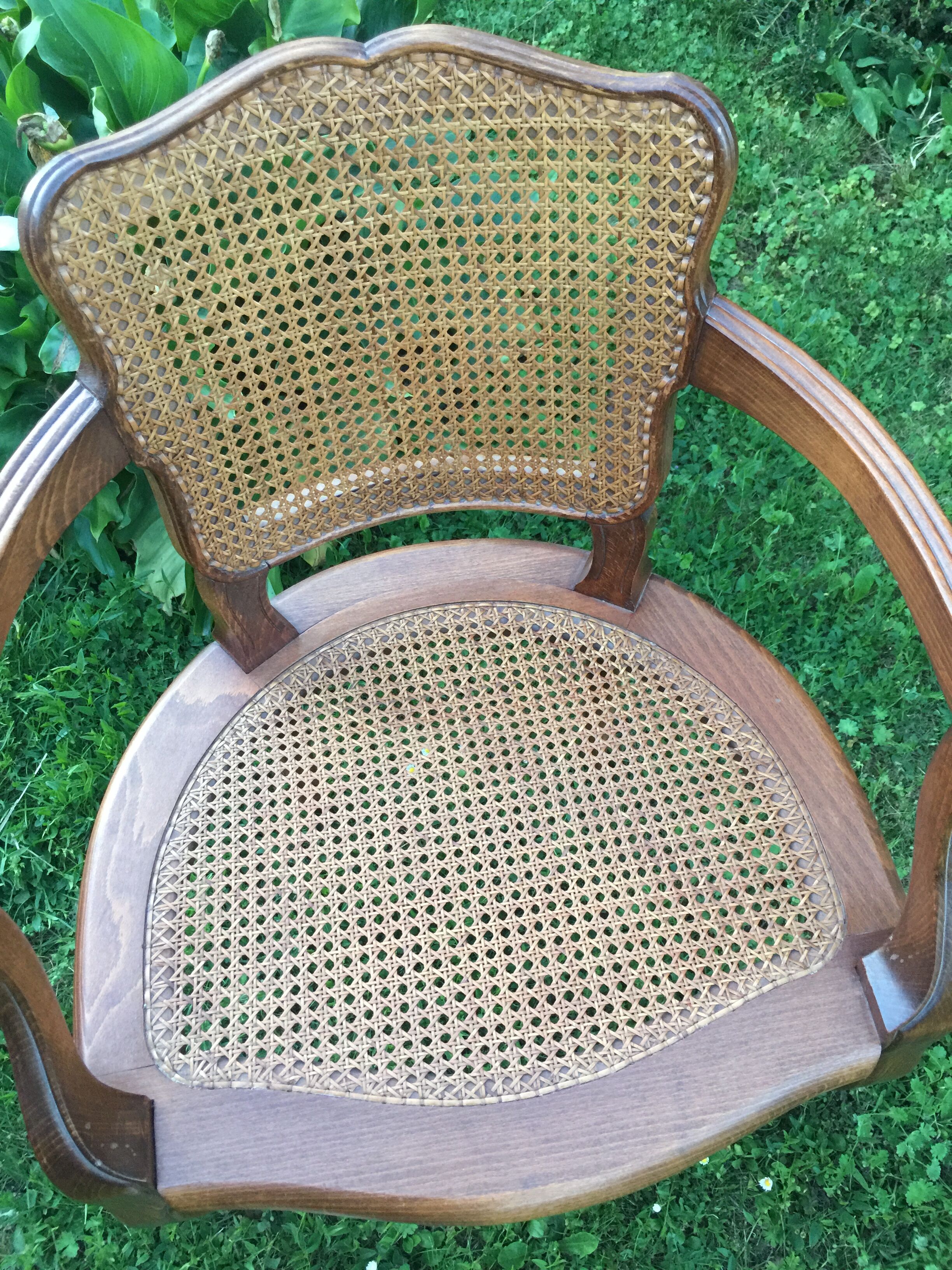 Canine Louis XV style office armchair