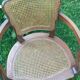 Canine Louis XV style office armchair