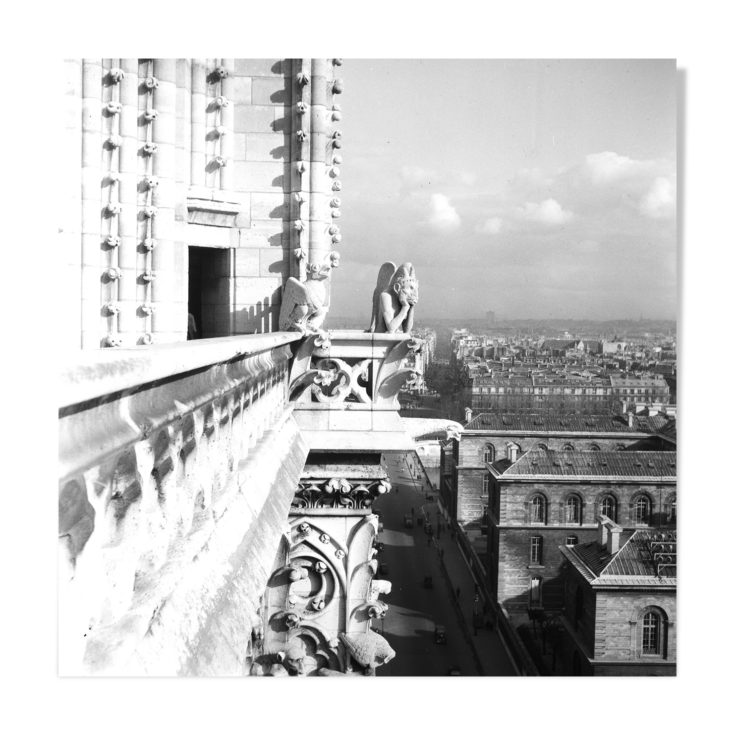 Silver photo print baryté Gargouille Notre dame de Paris. Format 40cmx40cm