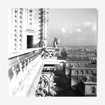 Silver photo print baryté Gargouille Notre dame de Paris. Format 40cmx40cm