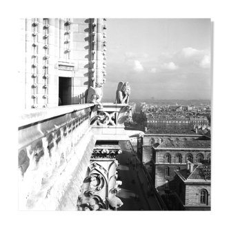 Silver photo print baryté Gargouille Notre dame de Paris. Format 40cmx40cm