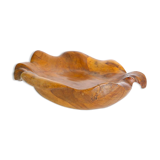 Glove fig tree wooden