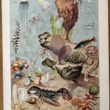 Lithograph on oceanography - 1930