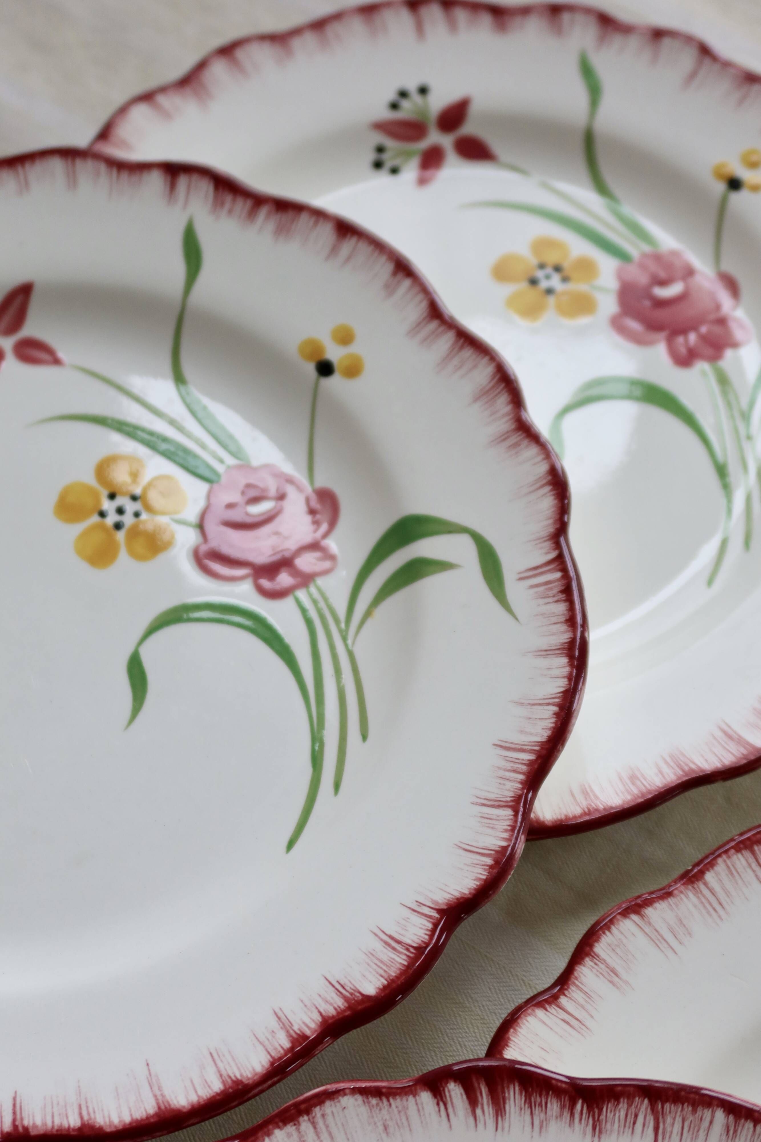 6 vintage ironstone dinner plates Salins model Pierrette