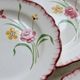6 vintage ironstone dinner plates Salins model Pierrette