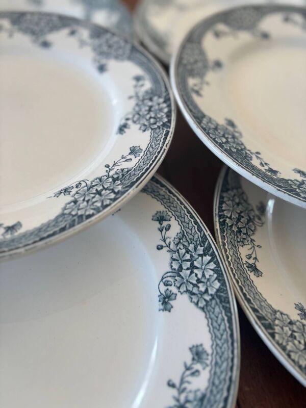 Lot de 6 Assiettes en Terre de Fer Saint-Amand Modèle Suzanne   Vaisse