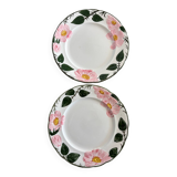 Villeroy & Boch dessert plates