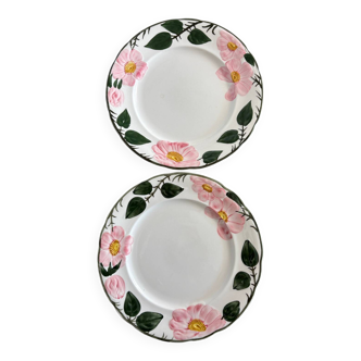 Villeroy & Boch dessert plates