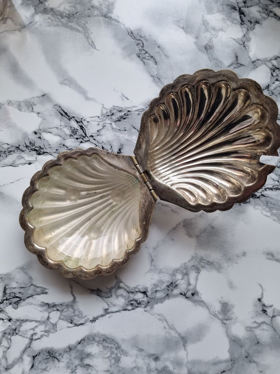 Shell butter dish