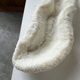 Pair of Fungia "shark cushion" corals