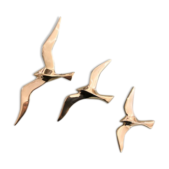 Series of 3 golden brass seagulls to hang