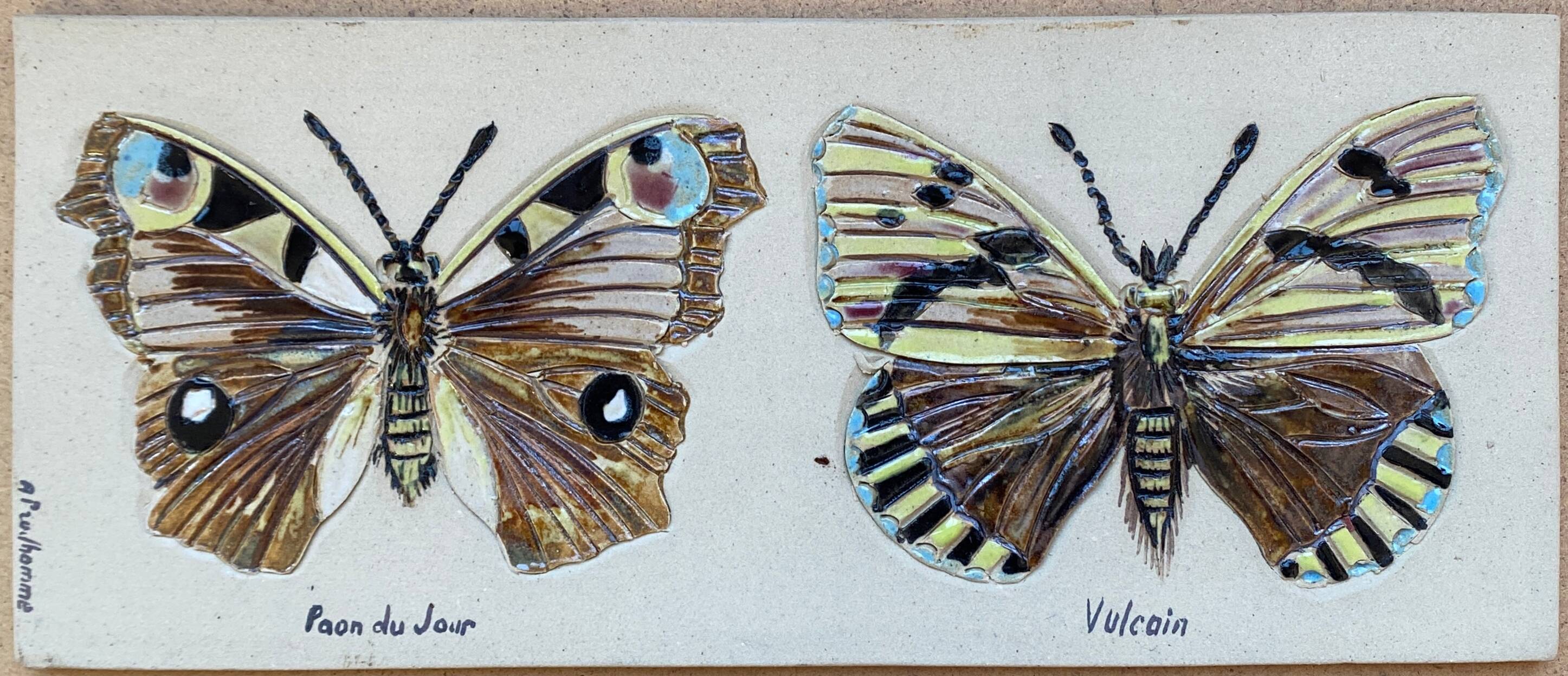 Bas relief painting / earth lepidopterology Butterflies A. Prudhomme Curiosity cabinet