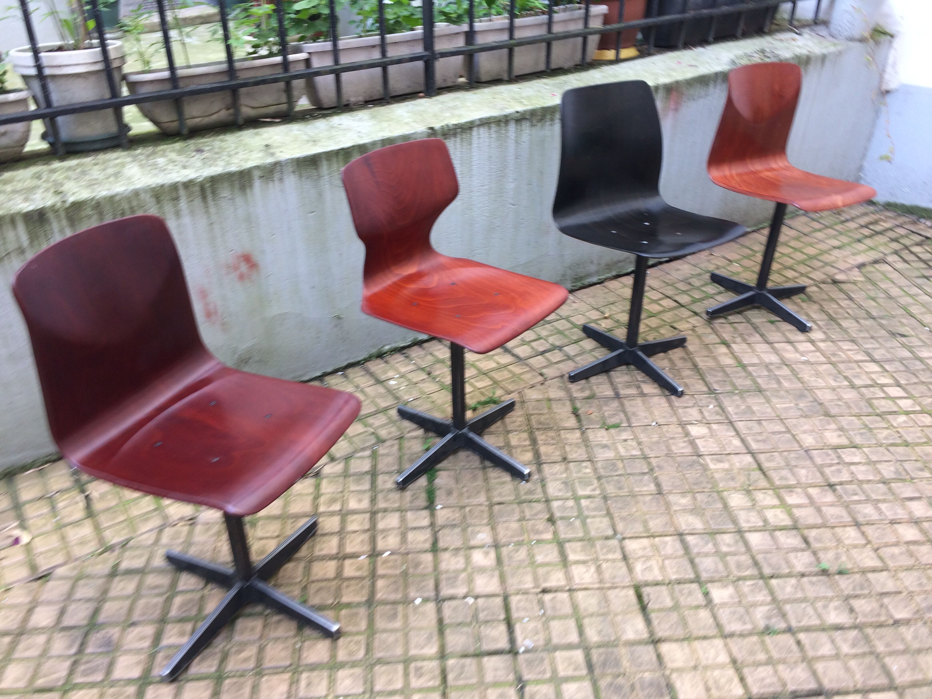 Set of 4 chairs Pagholz