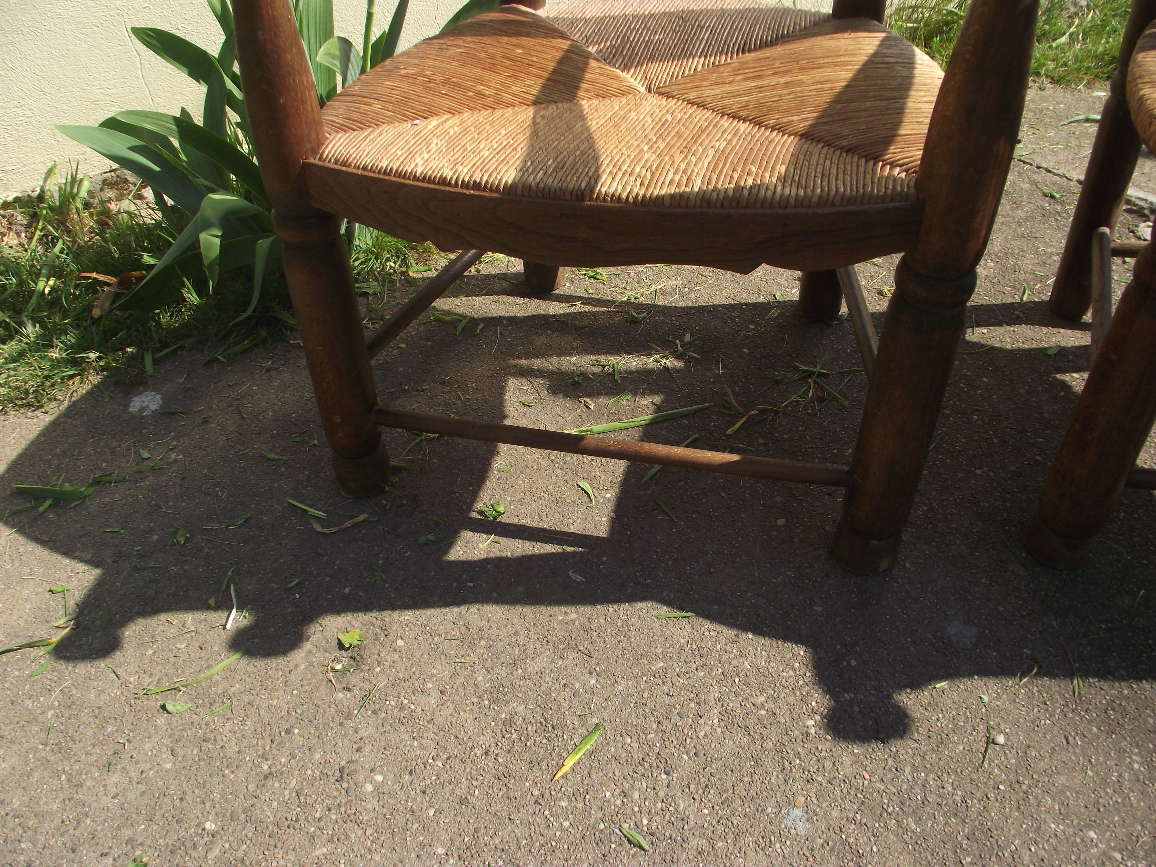 Paire de fauteuils paillées campagnards