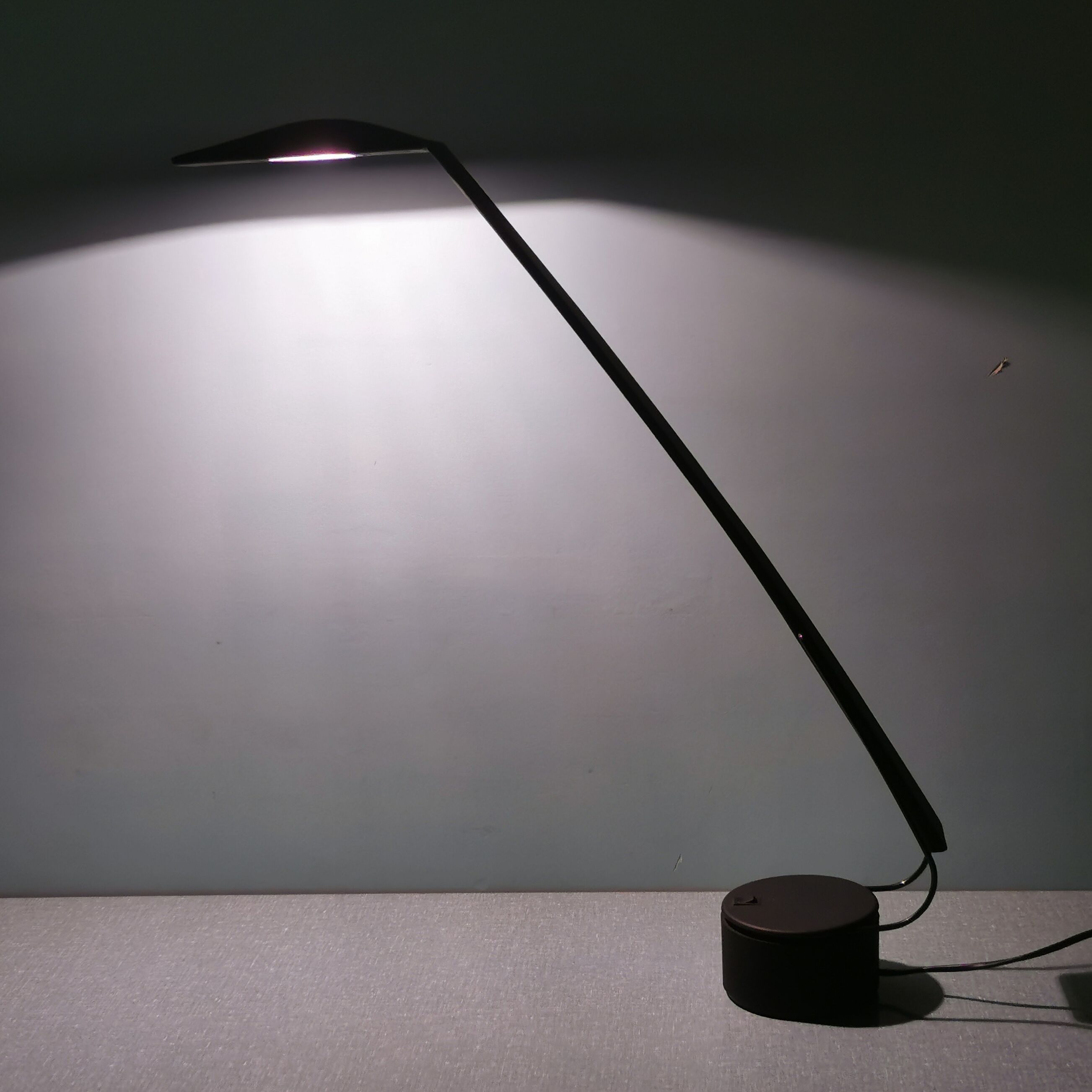 Dove Desk Lamp