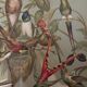 Lithograph engraving of hummingbirds – 1890