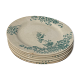 6 Flat plates iron earth by Bertrand Bordeaux / model Anémones