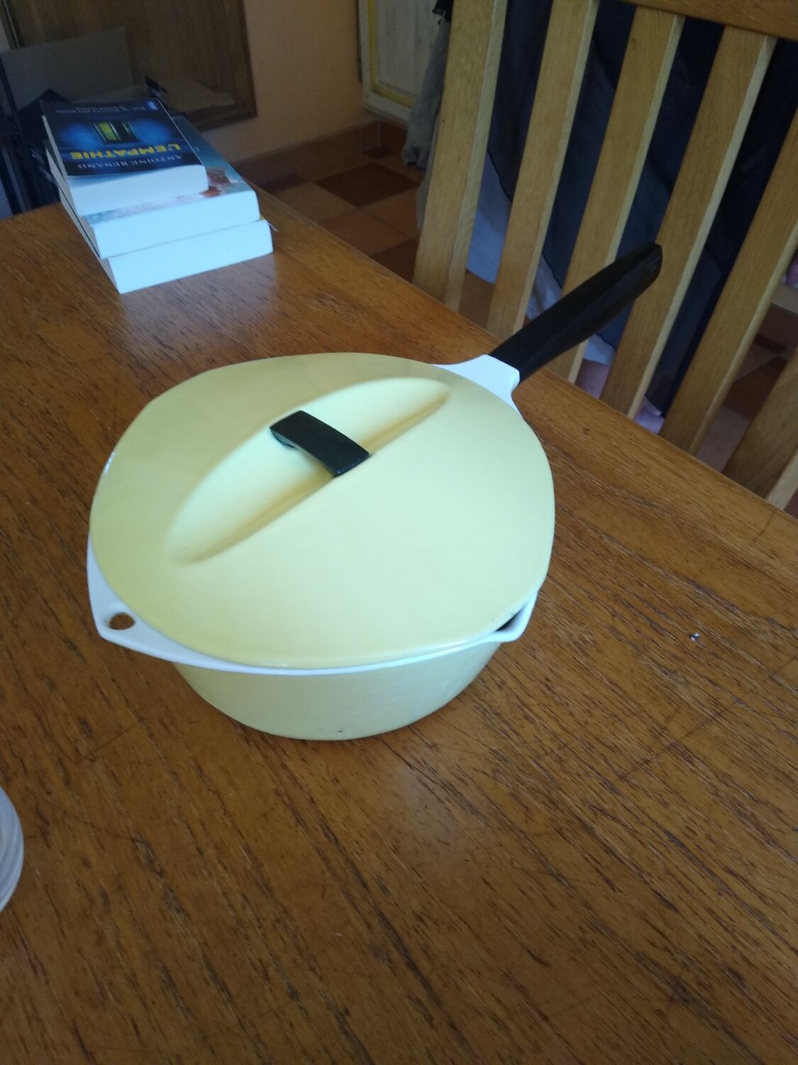 Pot and casserole the crucible