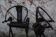 Folding Thrones, 1920s, Set of 2