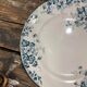 Lot of 6 plates in Terre de Fer Saint Amand - Marie-Louise model hamage