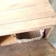Antique wooden furniture