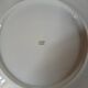 Small porcelain seashell dish