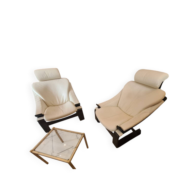 Fauteuils Kroken pour Roche Bobois