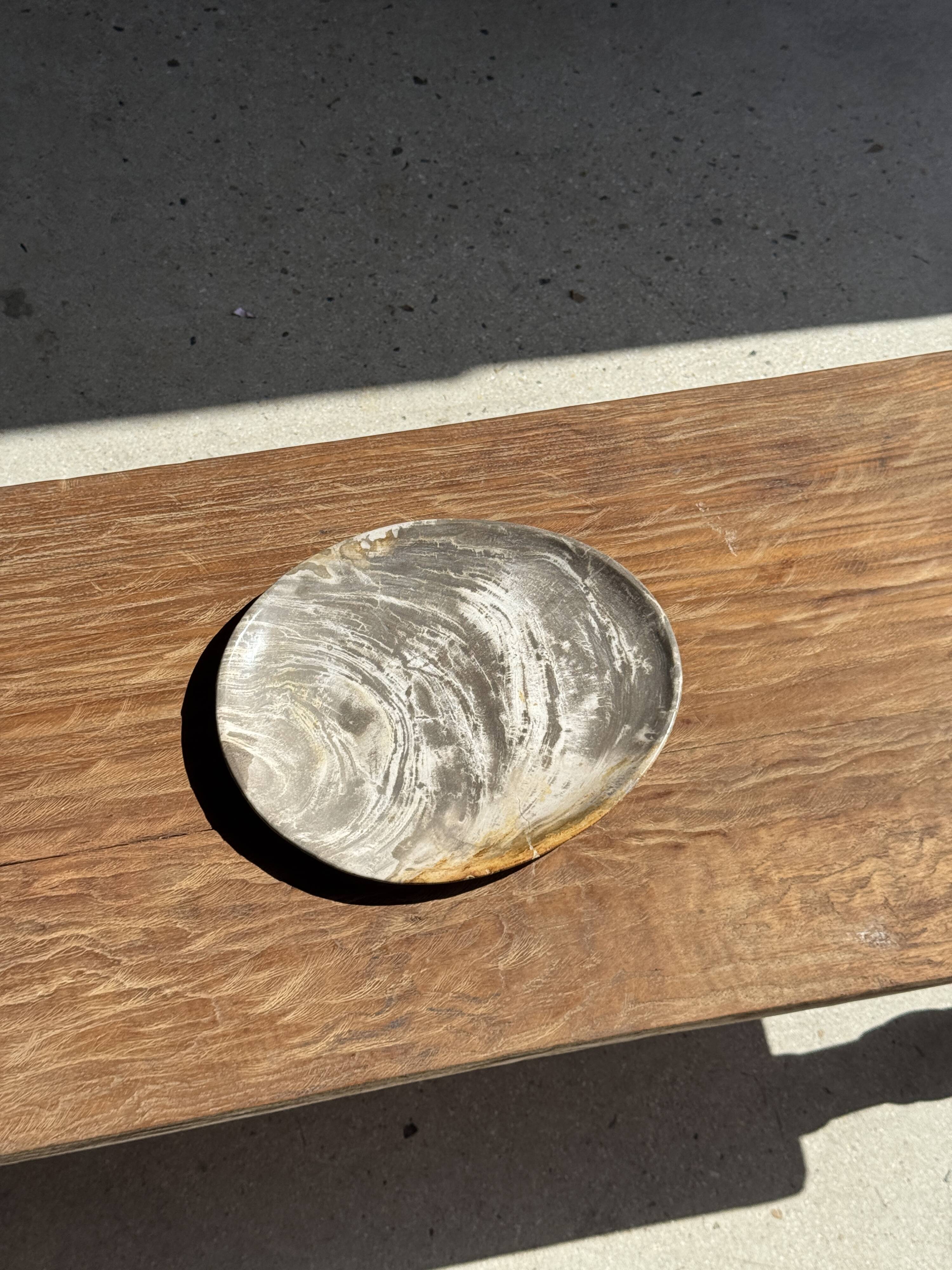 Petrified wood bowl or dish D27-23 -3322