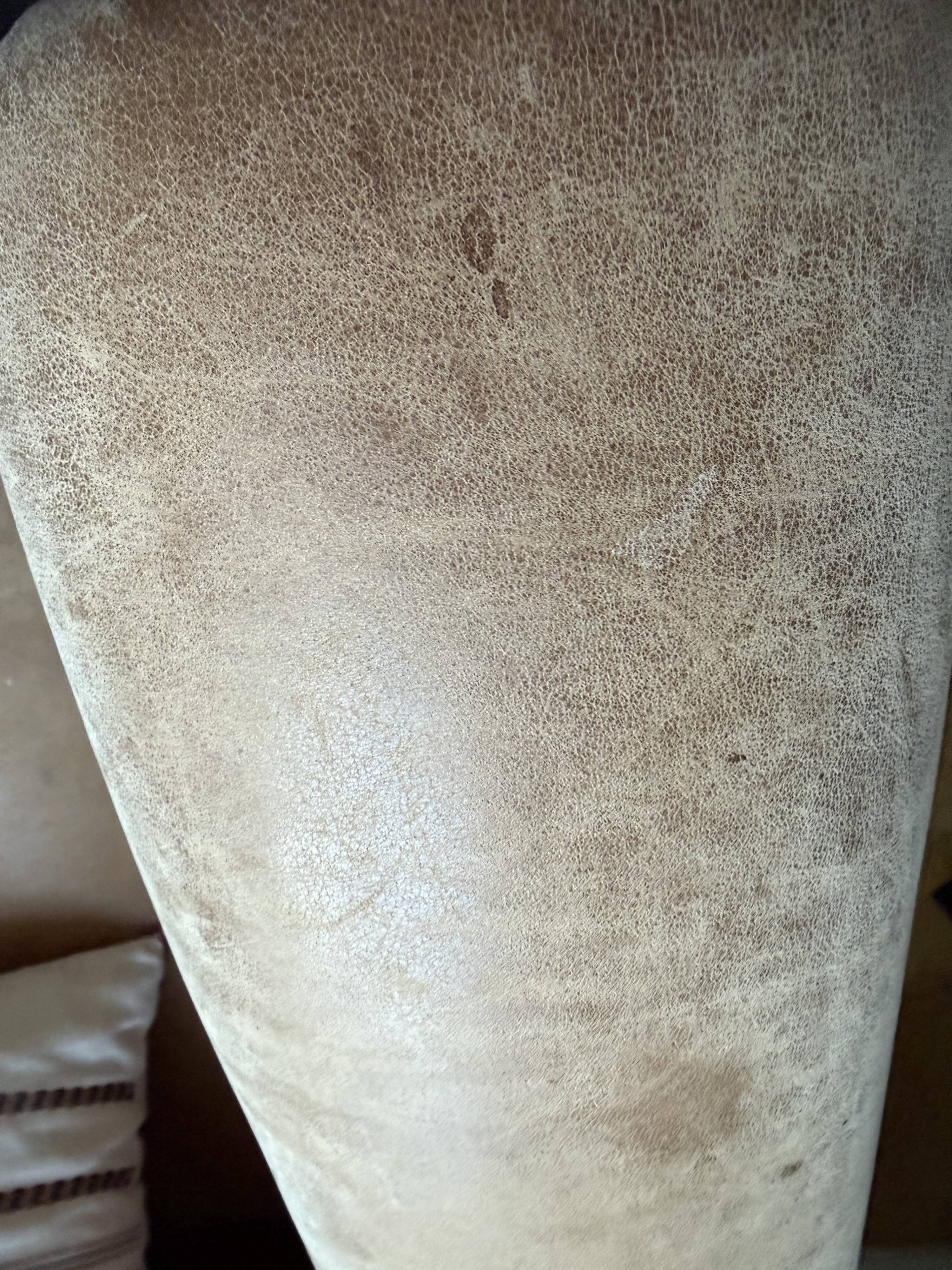 Bradford club armchair in full-grain cowhide leather, tawny colour.