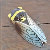Cicada Earthenware St Jean du Desert