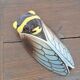 Cicada Earthenware St Jean du Desert
