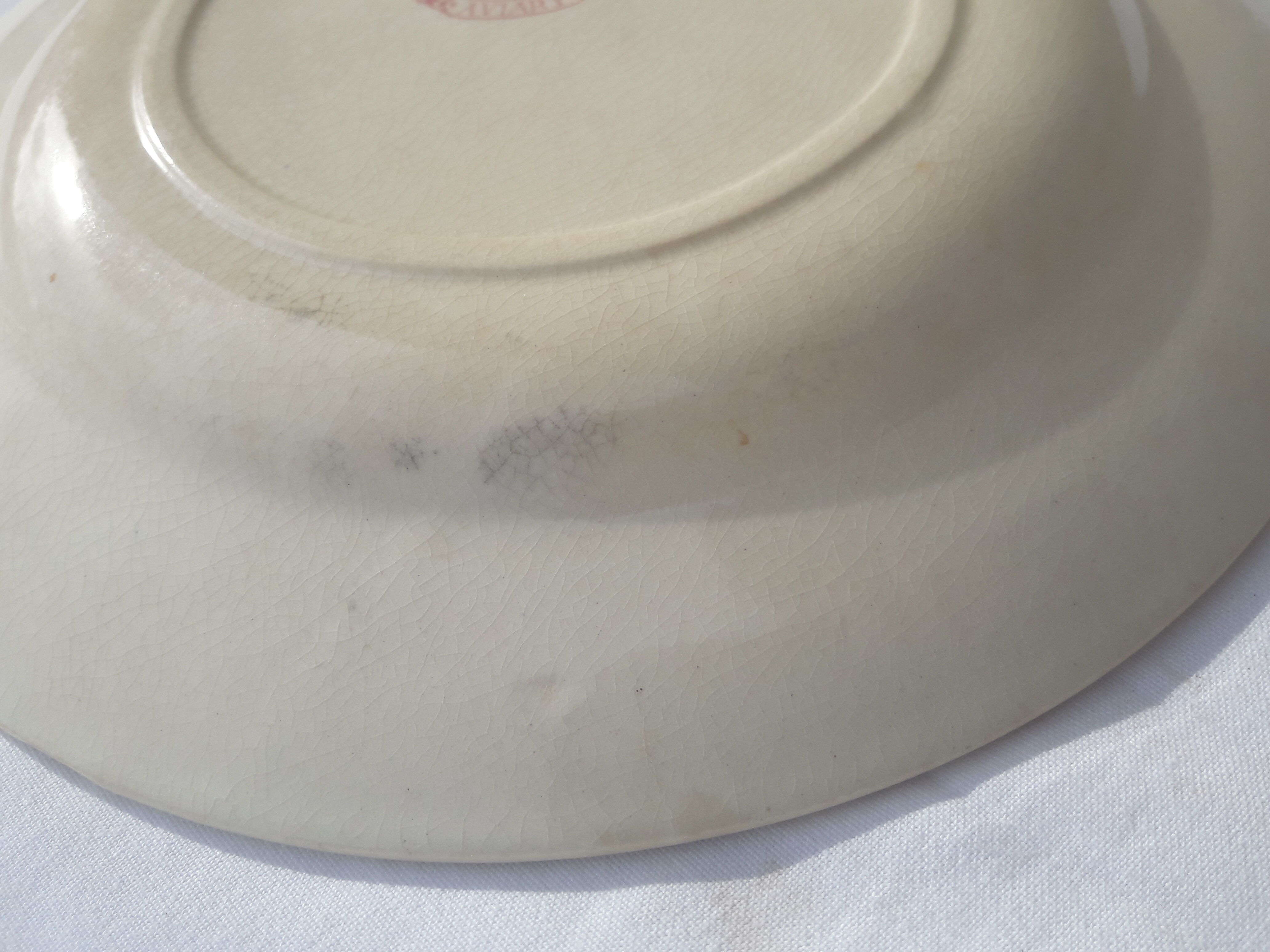 Assiette en porcelaine opaque de Gien  modèle Aviary diam 22,5 cm XIX ème siècle