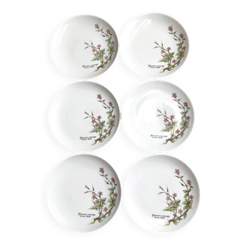 Set of 6 dessert plates from Bavaria, mobile decoration with pink flowers.