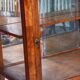 Biedermeier Display Cabinet in Walnut, 1830s