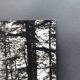 Film photography by Bernard Darot, Sun, Vosges Forest, Nantes Club