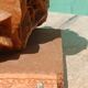 Rose des sables sur socle