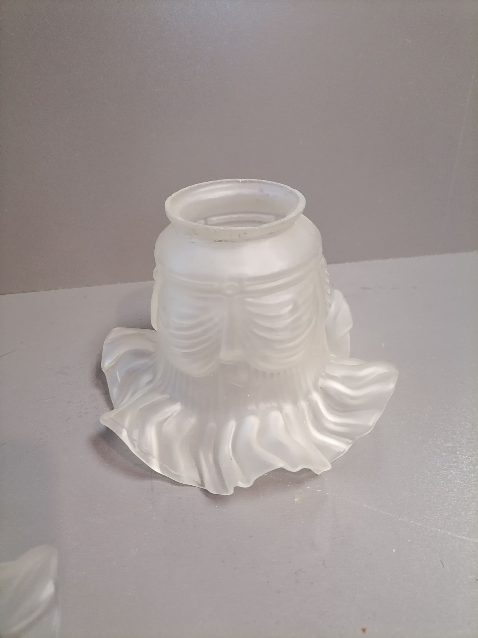 Tulip for Opaque Glass Chandelier
