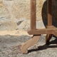 Side table wooden pedestal table design Brazil